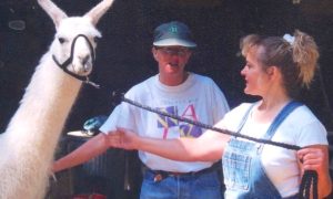 While her coworker looks on, a smiling blonde woman in overalls greets a white llama who is bridled and leashed. The llama looks relaxed but alert, and it is making eye contact with the photographer.