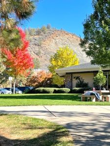 This rest stop looks more like a park; it features a landscaped green lawn plus a variety of fall trees with red, orange, yellow, and green leaves. The trees flank the low building, while in the foreground, a man in jeans lays back on a stone bench. In the background are picturesque rocky hills. 