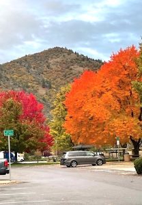 This unusually scenic rest stop view features a variety of fall trees with red, orange, yellow, and green leaves. In the background are picturesque rocky hills, while a few parked cars can be seen in the foreground.