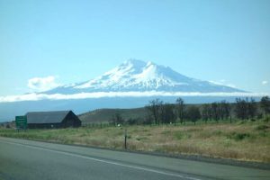 The snow-covered peaks of Mt. Shasta can be seen in the distance, with a grassy field and some trees in the foreground. Due to low cloud cover at the base of the mountain, the peak looks like it is floating in the sky.