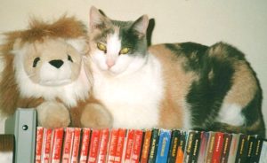 A calico cat (white, tan, and black) lounges on top of shelf of books, cuddled next to a plush lion.