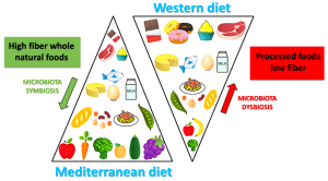 This image shows an illustrated comparison of the Mediterranean diet versus the common Western diet.