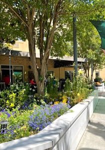 A photo of an outdoor private garden shows numerous small shade trees, plus rows of planted wildflowers and other landscaping behind a low concrete wall. A few residents can be seen sitting at tables in the background.