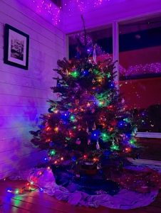 A tall Christmas tree features small, bright, colored lights and a many, many ornaments.
