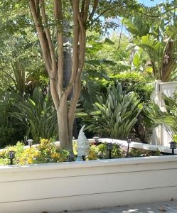 A large box planter in the memory care garden showcases a small tree and a sculpture of a gnome. There are also small outdoor lanterns in the earth, and a variety of small plants.