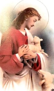 A Catholic prayer card depicts Jesus in robes with halo, holding a small lamb in his arms while another lamp noses at his sleeve.