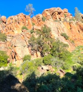 Against a bright blue sky, a view from the bottom of a massive natural rock formation. In the foreground can be seen trees and underbrush.