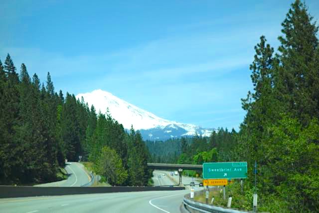 In the background, the snowy peak of a mountain (Mt. Shasta) is visible behind tall evergreen trees. In the foreground is a highway lined with more evergreen trees.