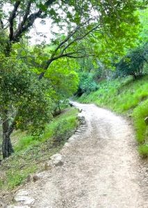 A curvy walking trail continues into the distance, while a grass-covered slope rises on the right-hand side.